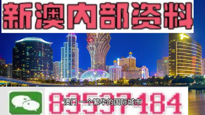 新澳2024正版资料免费公开，探索与揭秘