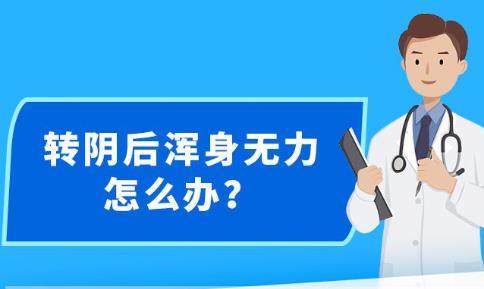 新澳精准资料免费提供，探索第4949期的奥秘与价值