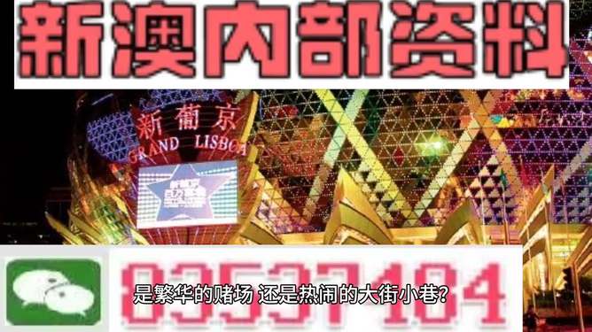 新澳门2024年资料大全与精选解析，管家婆的独到见解