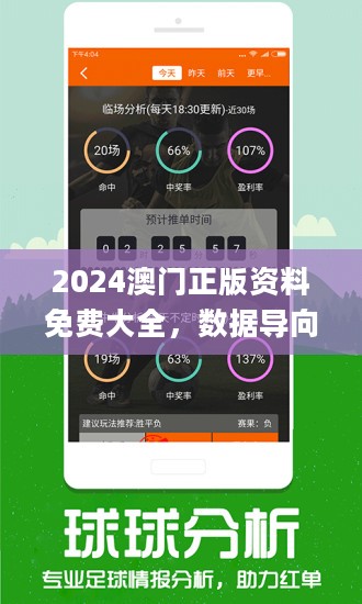 澳门正版精准免费大全与精选资料解析大全，深度探索与解析