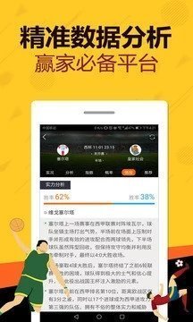 澳门王中王精选资料解析大全，深度探索与全面解析