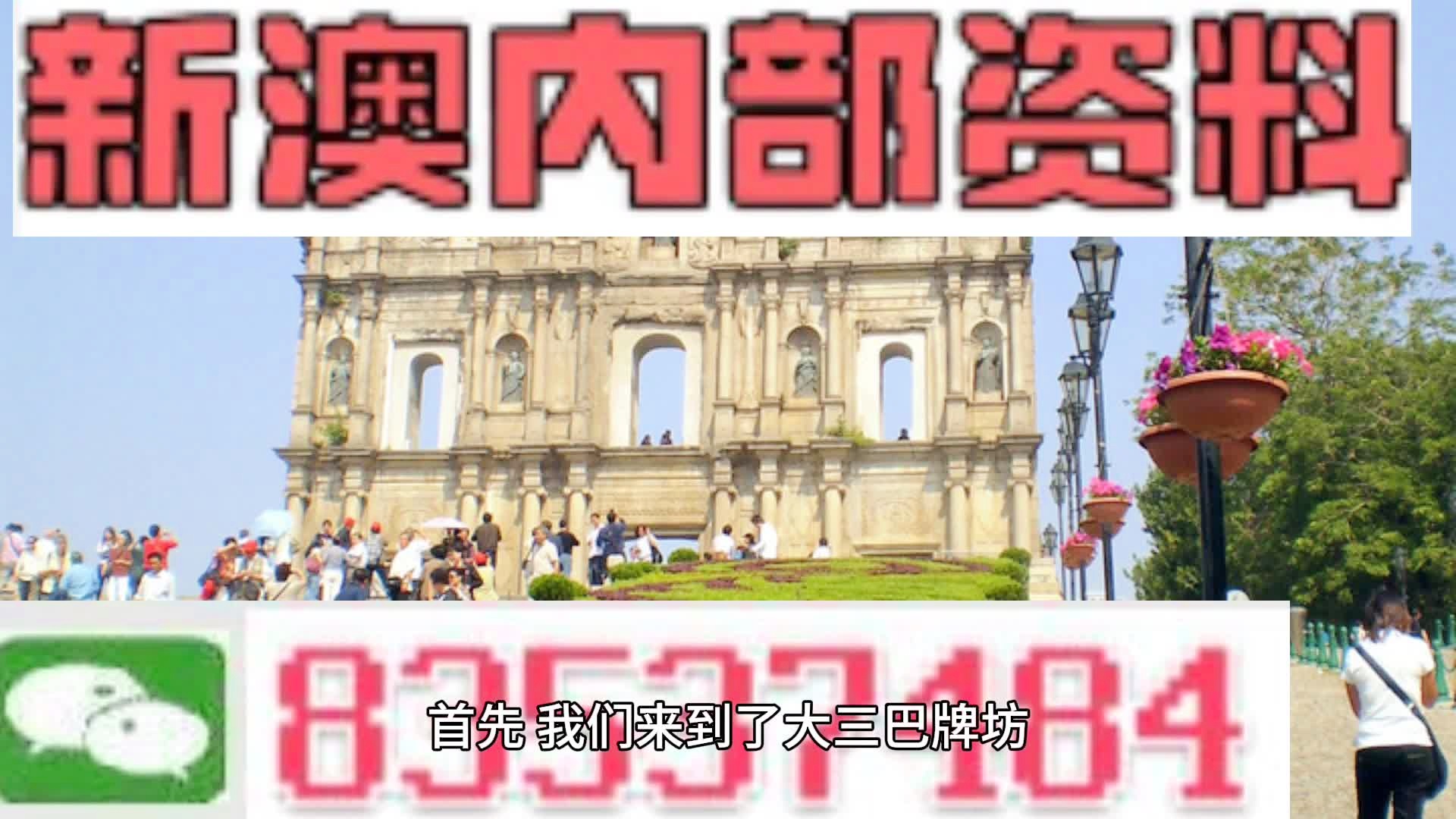 新澳2024年精准一肖一码精选资料解析大全——揭秘未来彩票趋势