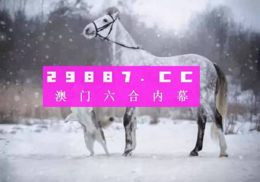 澳门一肖一码精选资料解析大全，揭秘背后的秘密与解析技巧