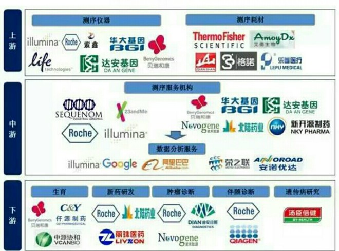 新奥内部最准资料精选与解析大全