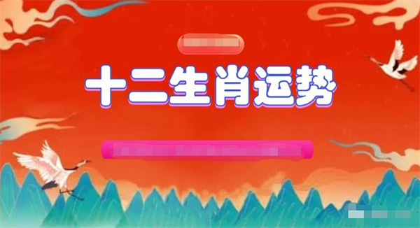 一肖一码免费精选资料解析大全，公开与精选资料深度解析