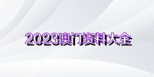 澳门精选资料解析大全，迈向2024年最准确的免费资料解析