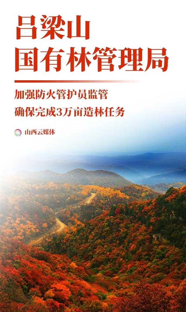 山西活立木最新消息，发展动态与未来展望