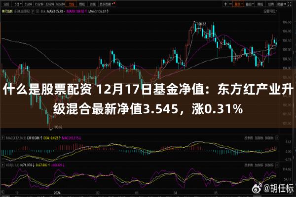 东方红9号最新净值分析