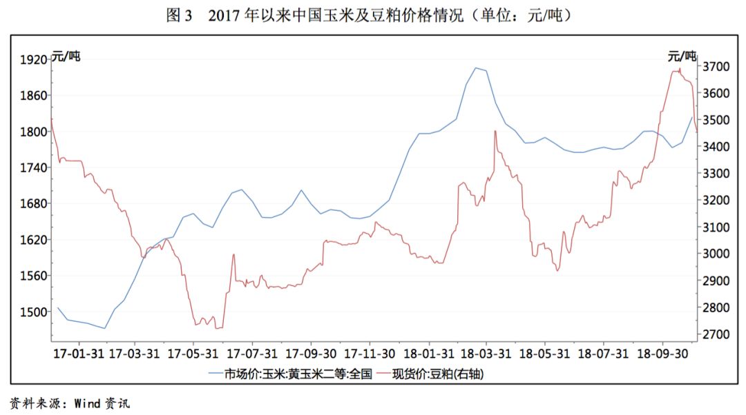 博罗石湾房价最新消息，市场走势、影响因素及未来展望