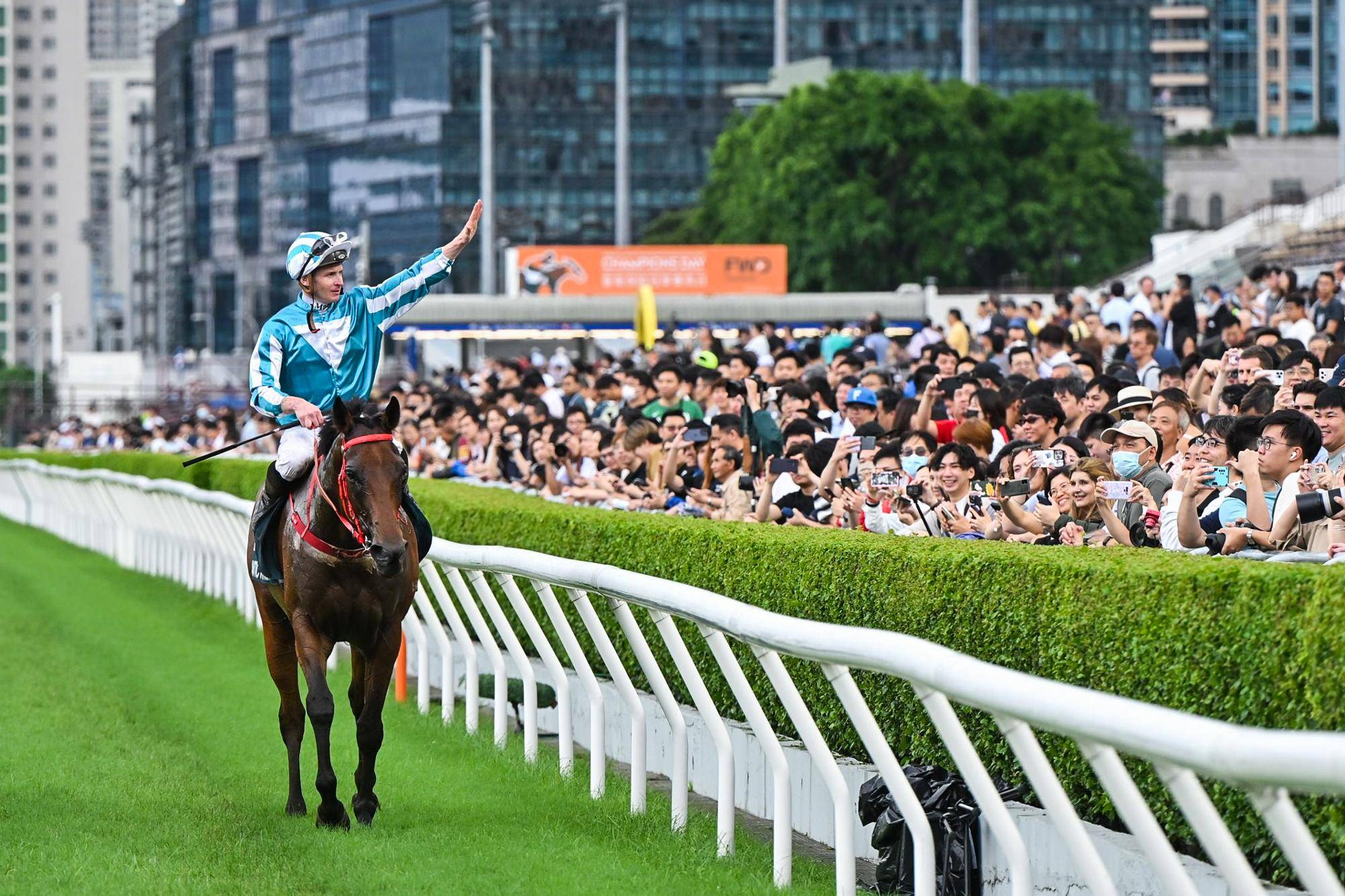 WW777766香港马会总纲诗，探索赛马运动的魅力与文化底蕴