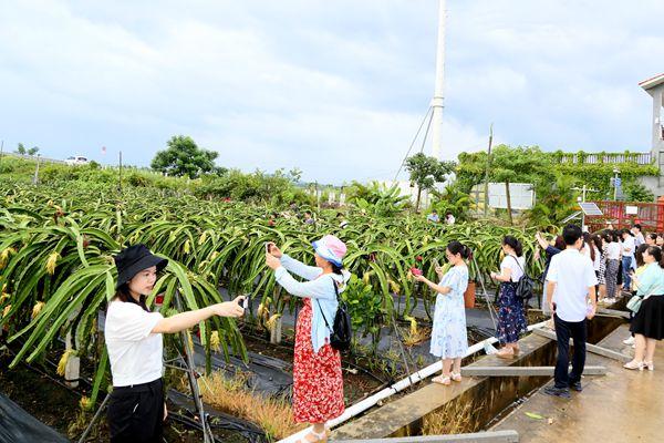 新澳精选资料免费提供，助力学习与发展的强大资源