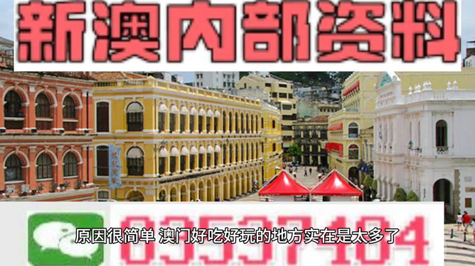 新港澳门免费资料长期公开,新港澳门免费资料长期公开，探索与启示