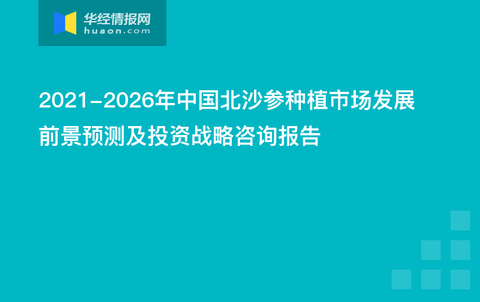 2025年新澳正版资料查询方法,2025年新澳正版资料查询方法详解