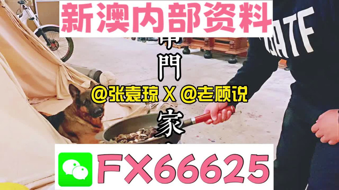 澳门资料管家婆100百分之百准,澳门资料管家婆——百分之百准确的信息管家