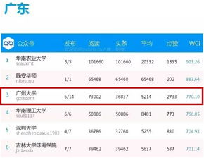 新澳门六开奖结果2025开奖记,新澳门六开奖结果2025开奖记，期待与惊喜的交融