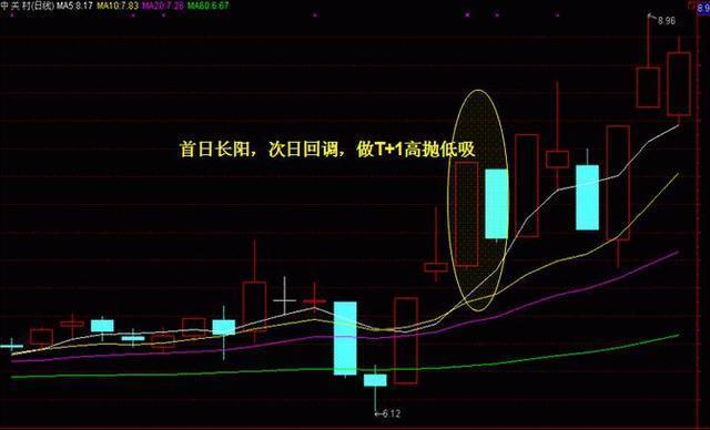 探索新澳门正版免费资本车,探索新澳门正版免费资本车，揭开神秘面纱下的真相