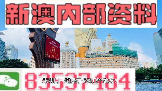 2025澳门正版四不像精准资料,澳门正版四不像精准资料，探索与解析