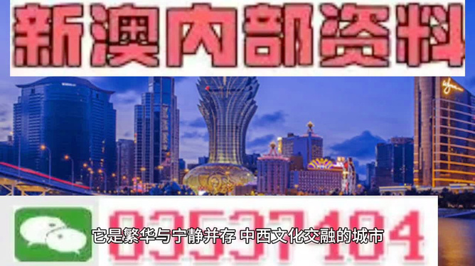 新澳2025今晚王中王免费资料,新澳2025今晚王中王免费资料解析与探讨