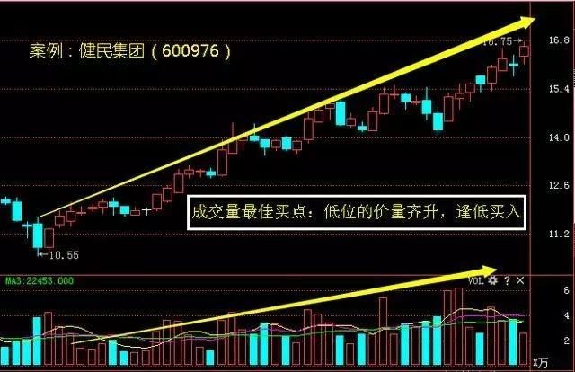 香港今晚开特马+开奖结果66期,香港今晚开特马，第66期开奖结果分析预测与深度探讨